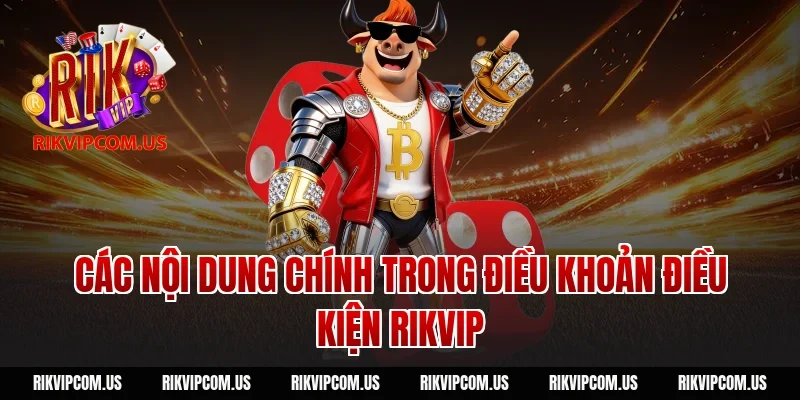 Các nội dung chính trong điều khoản điều kiện Rikvip